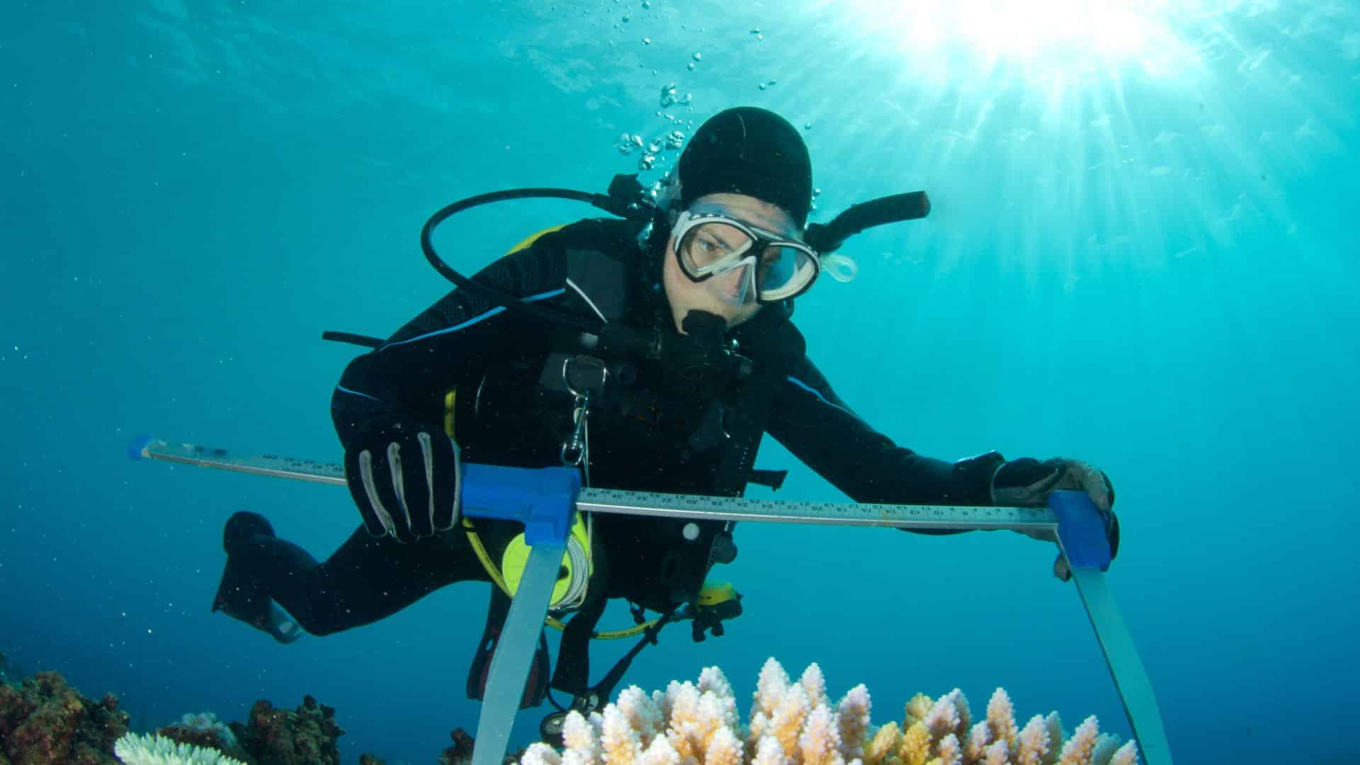 Top Marine Biology Colleges in 2025 for Future Ocean Explorers